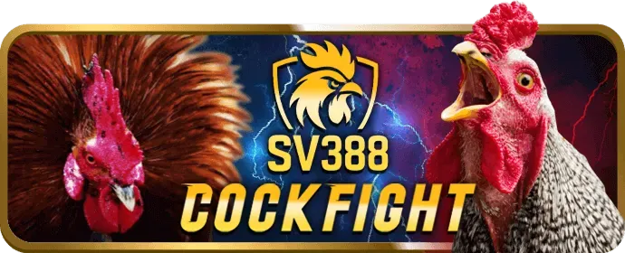 Chính sách cờ bạc có trách nhiệm bet88 info